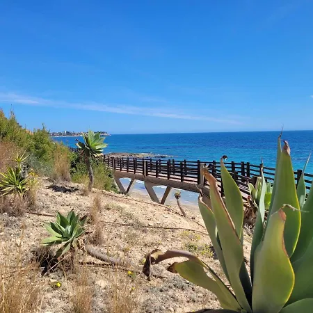 49 Laguna Torrevieja