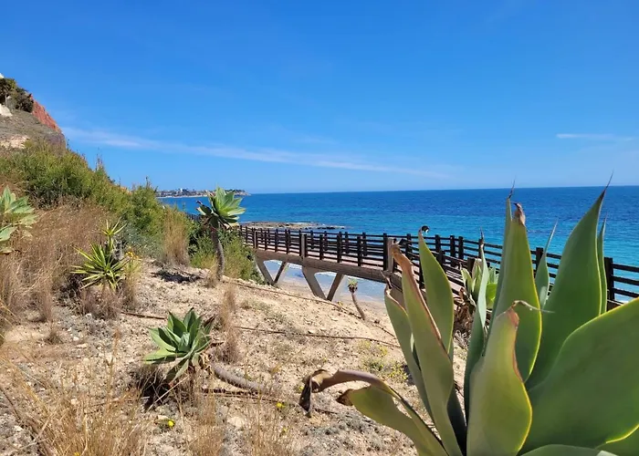 49 Laguna Torrevieja